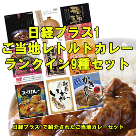 日経プラス1 ご当地レトルトカレーランクイン9種セット